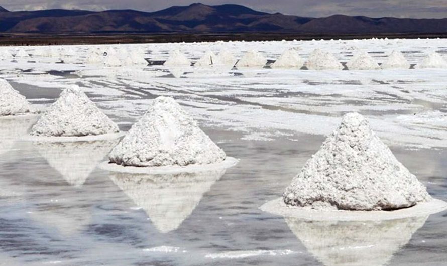 Dos empresas que se adjudicaron la licitación del litio en Chile
