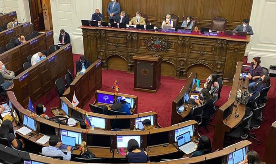 La opinión de las mujeres chilenas frente al proceso constituyente